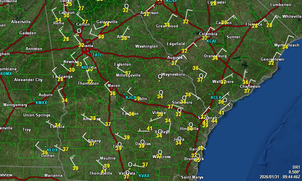 Radar view for SE GA & Southern SC from Savannahpat