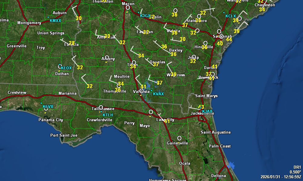 Radar view for SE GA & NE FL from Savannahpat